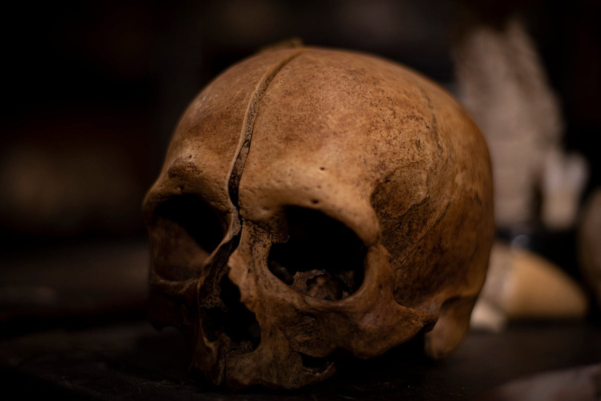 Human Osteology