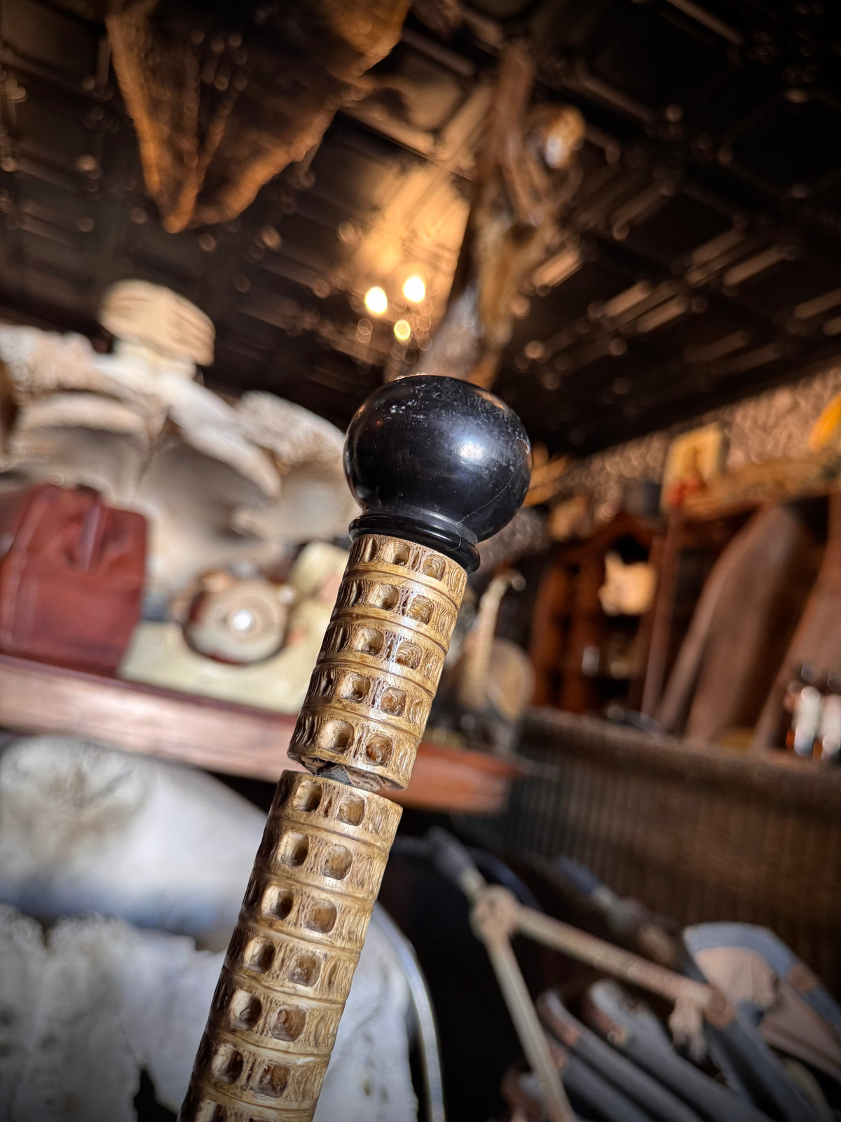 Shark Vertebrae Cane