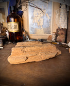 Petrified Wood