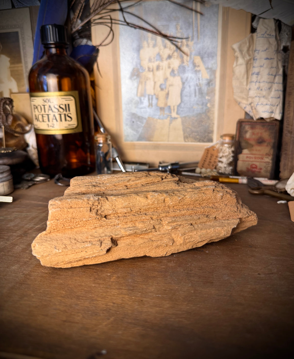 Petrified Wood