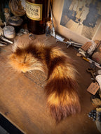 Raccoon Tail