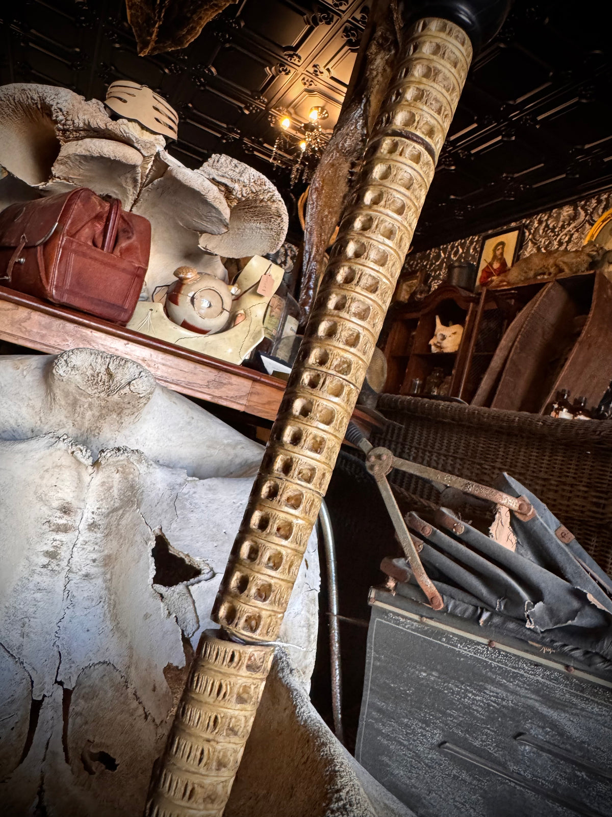 Shark Vertebrae Cane