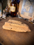 Petrified Wood