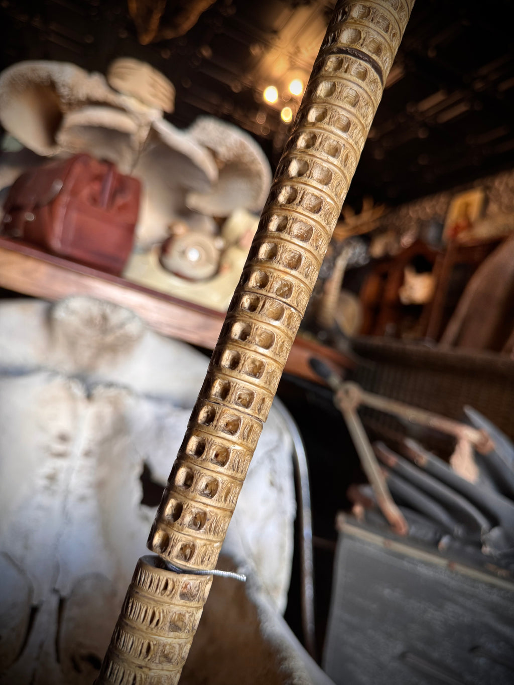 Shark Vertebrae Cane
