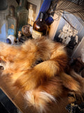 Raccoon Tail
