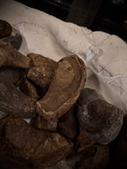Fossilized Whale Ear Bone