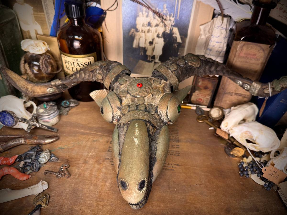 Tibetan Goat Skull Kapala