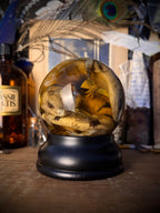 Wet Specimen Skink Twins