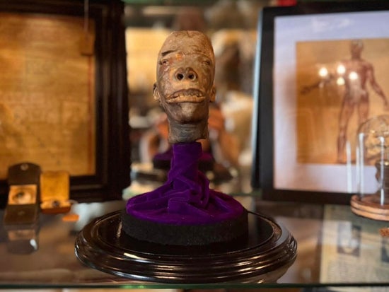 Genuine Srunken Head