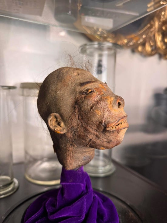 Genuine Srunken Head