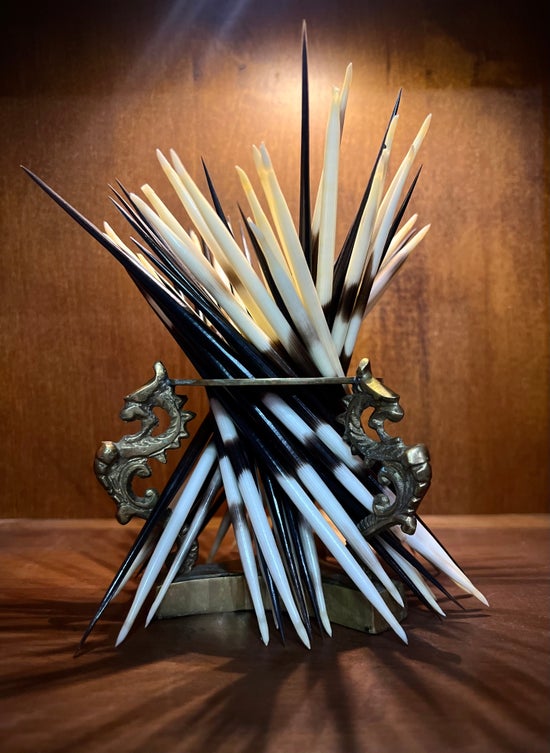 Single African Porcupine Quill