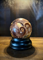 Octopus in Jar