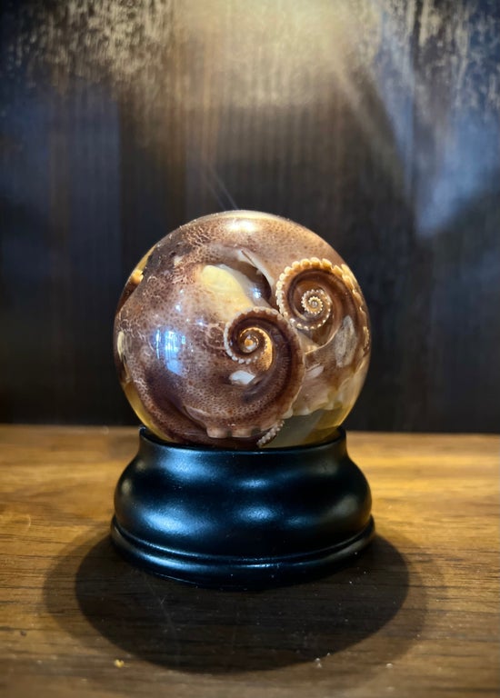 Octopus in Jar