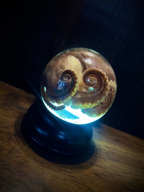 Octopus in Jar