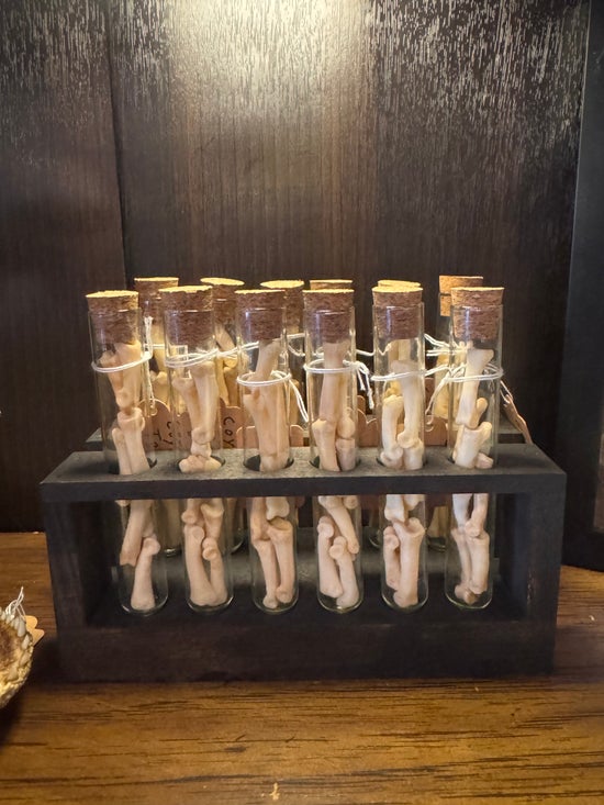 Coyote Toe Bones In Glass Vial