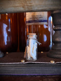 Alligator Teeth In Jar