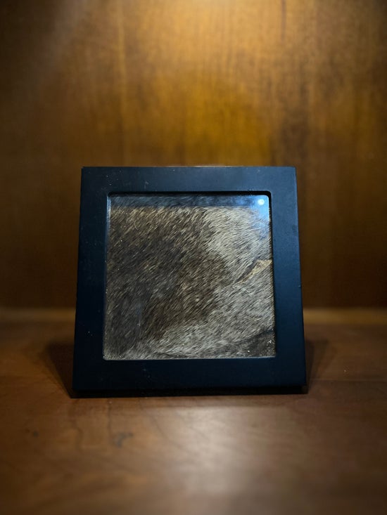 Giraffe Hide Segment in Frame