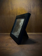 Giraffe Hide Segment in Frame