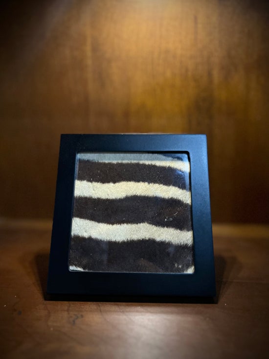 Zebra Hide Segment in Frame