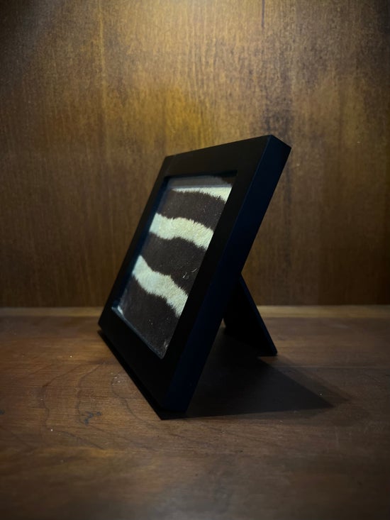 Zebra Hide Segment in Frame